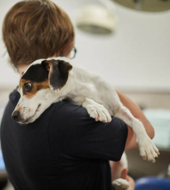 Vet tech student hugging small beagle dog.