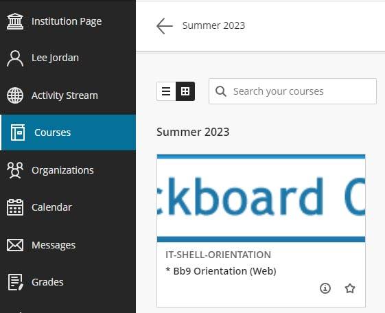 Image of Blackboard navigation options