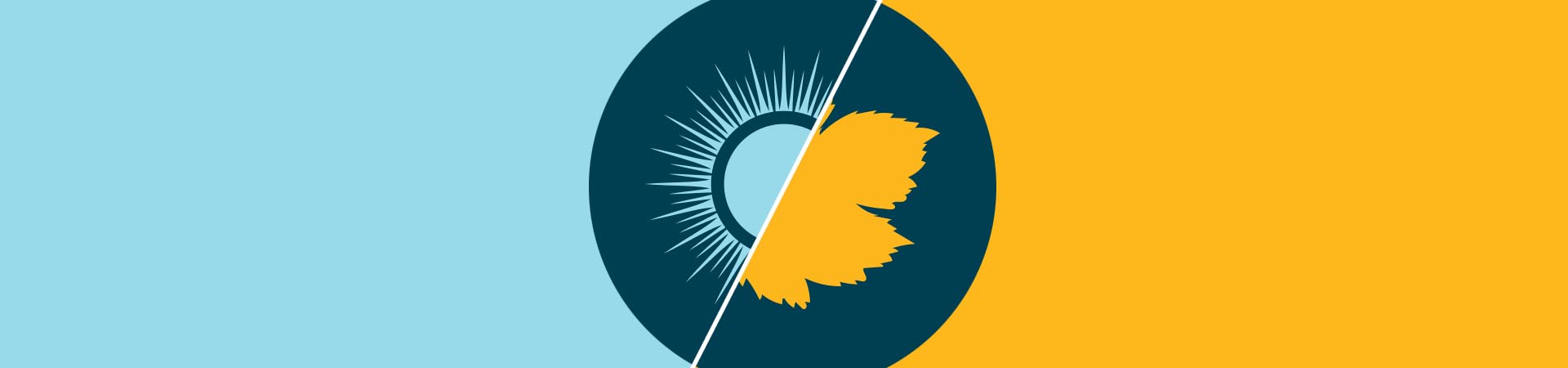 Graphic with sun and leaf icons