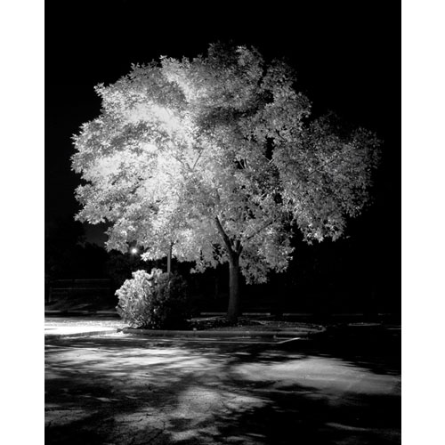 
Black & White Photography
