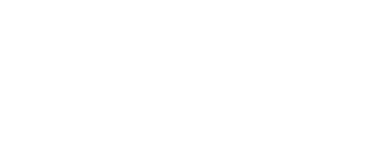 FY2020 Impact Report